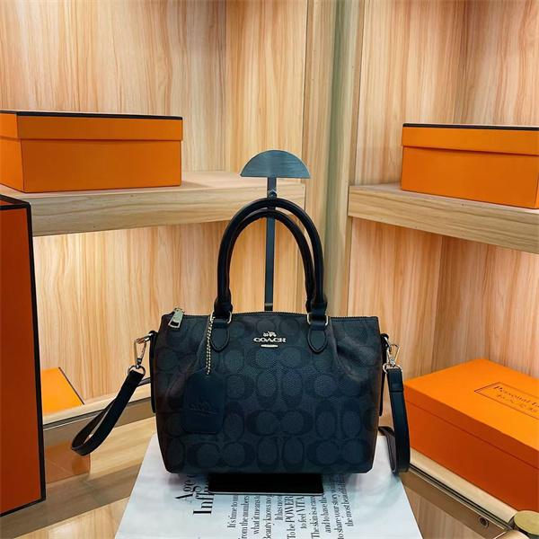 Coach small bag-0281