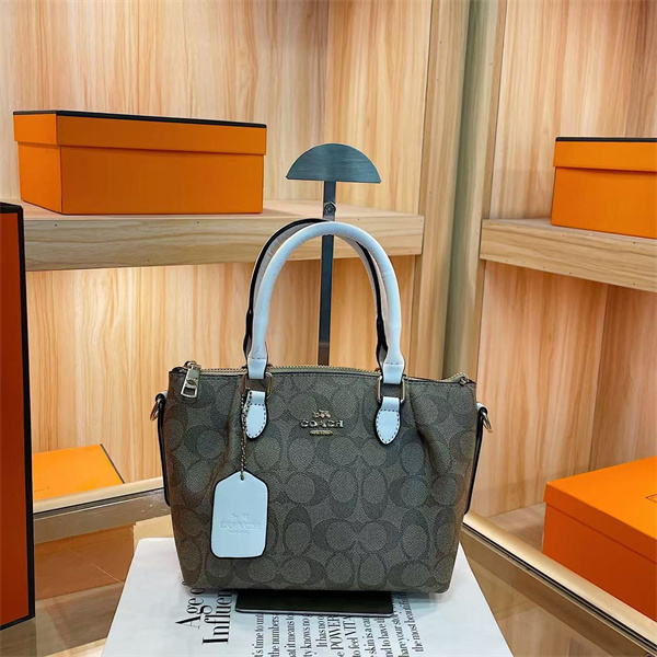 Coach small bag-0282