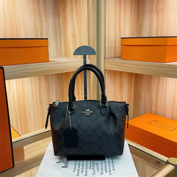 Coach small bag-0286