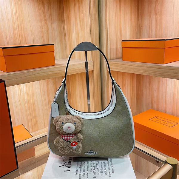 Coach small bag-0291