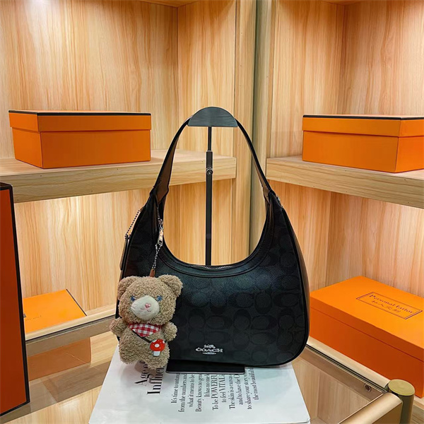 Coach small bag-0293