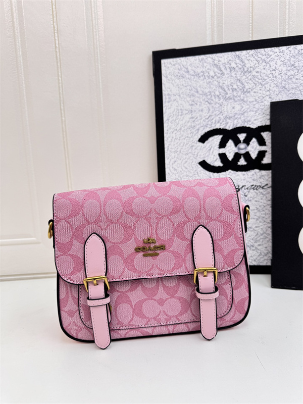 Coach small bag-0296