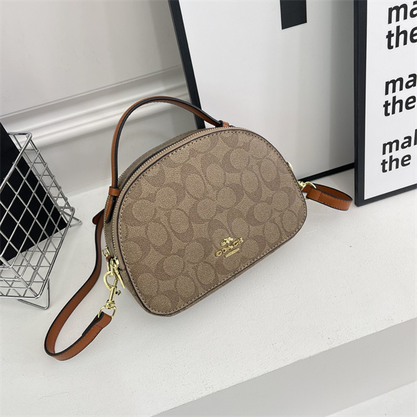 Coach small bag-0307