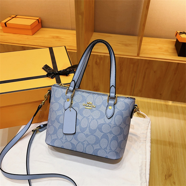 Coach small bag-0308