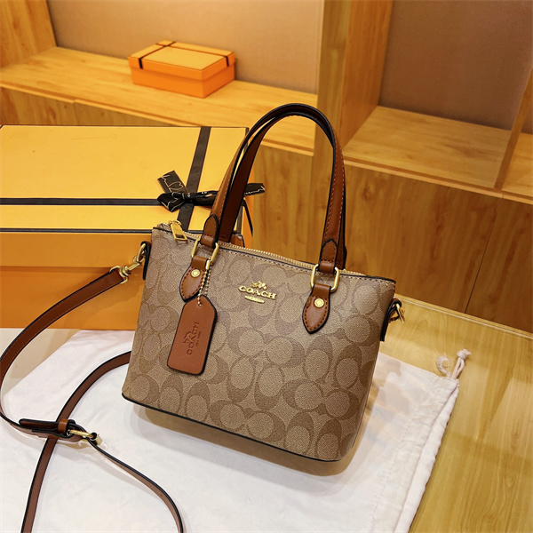 Coach small bag-0309