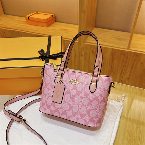 Coach small bag-0311
