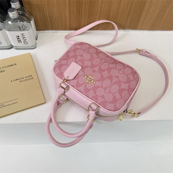 Coach small bag-0318