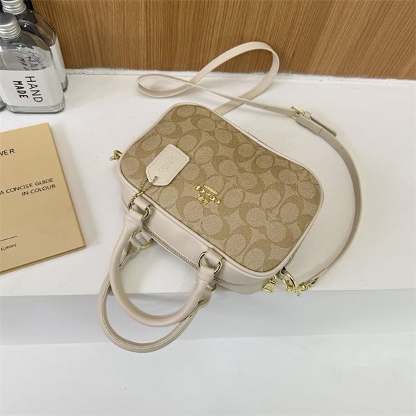Coach small bag-0319