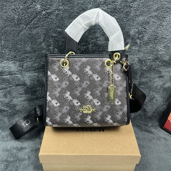 Coach small bag-0321