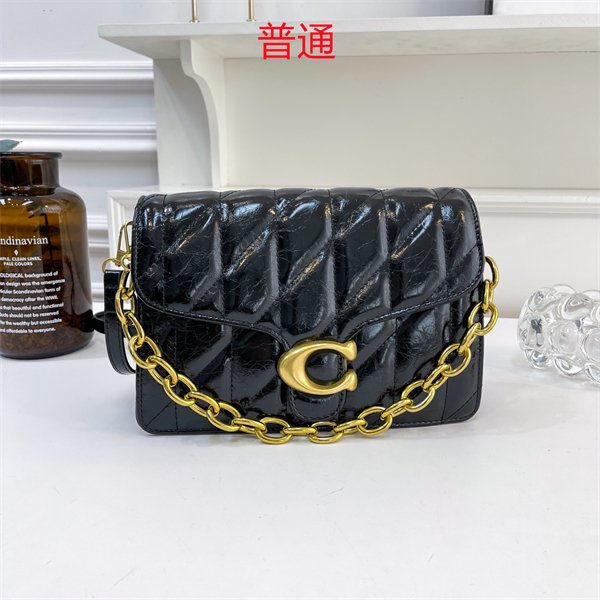 Coach small bag-0354