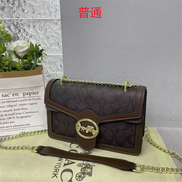 Coach small bag-0365