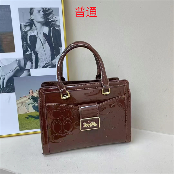 Coach small bag-0388