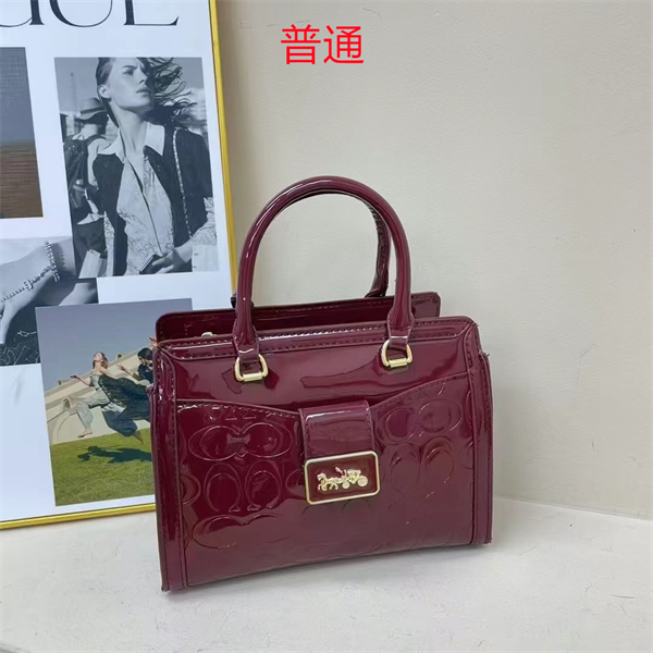 Coach small bag-0389