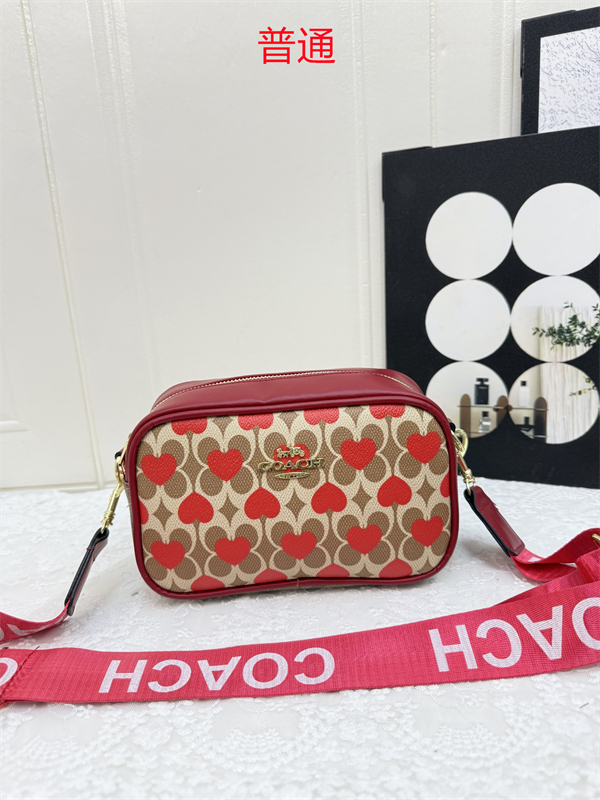 Coach small bag-0392