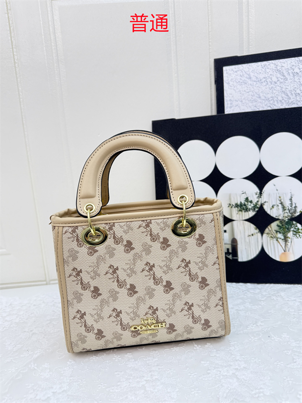 Coach small bag-0397