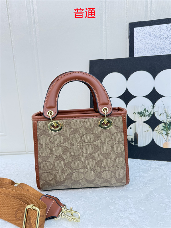 Coach small bag-0400