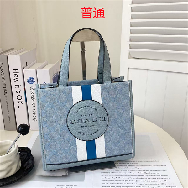 Coach small bag-0407
