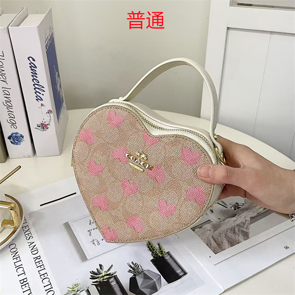 Coach small bag-0415