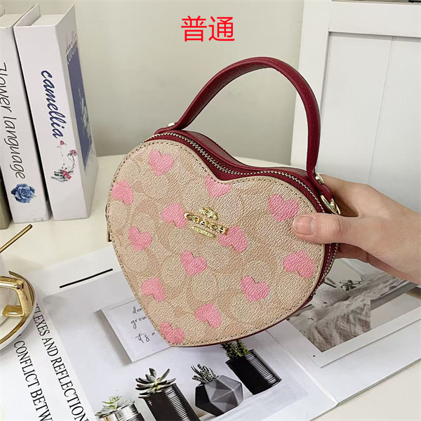 Coach small bag-0419