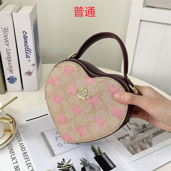 Coach small bag-0420