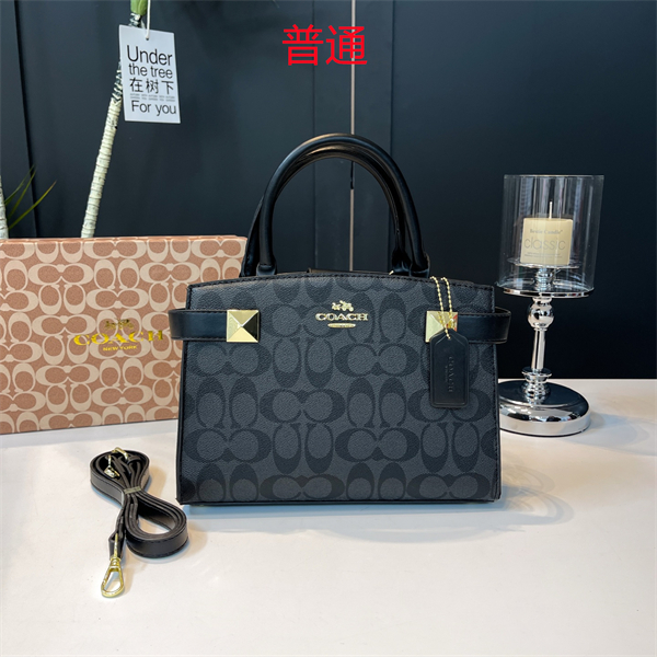 Coach small bag-0434