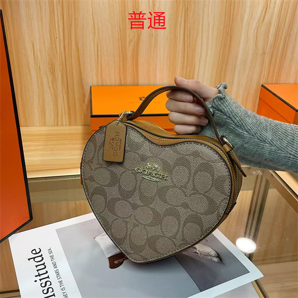 Coach small bag-0444