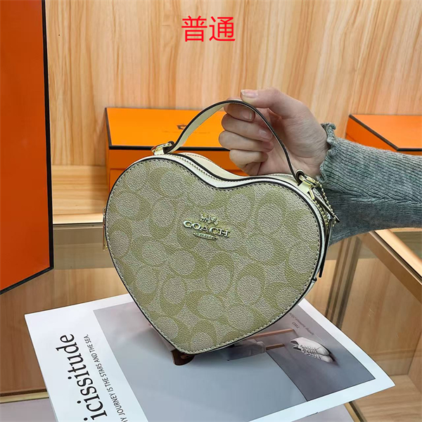 Coach small bag-0448