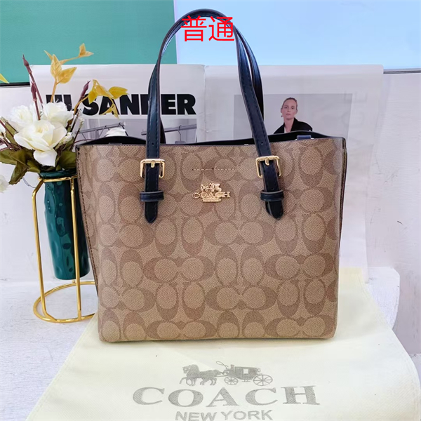 Coach small bag-0454