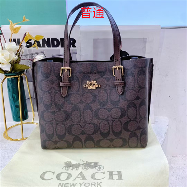 Coach small bag-0456
