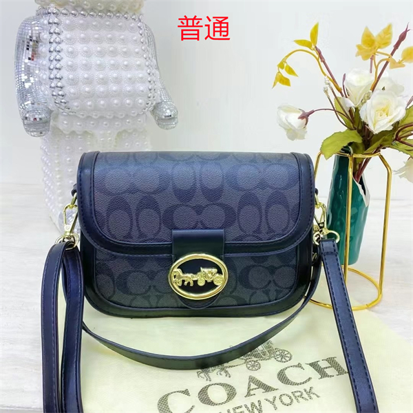 Coach small bag-0460