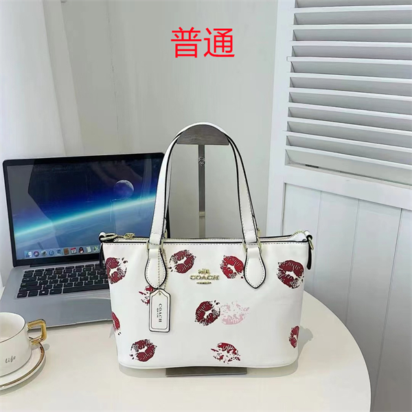 Coach small bag-0479