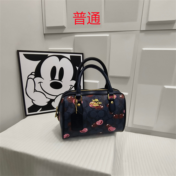 Coach small bag-0494