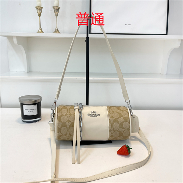 Coach small bag-0504