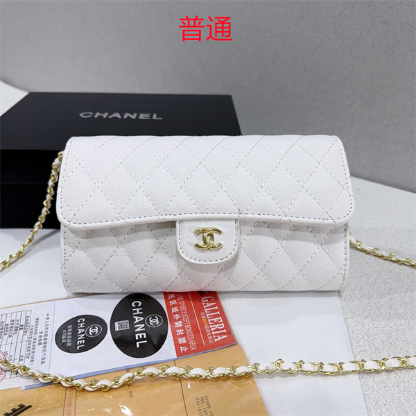 Chanel small bag-0141