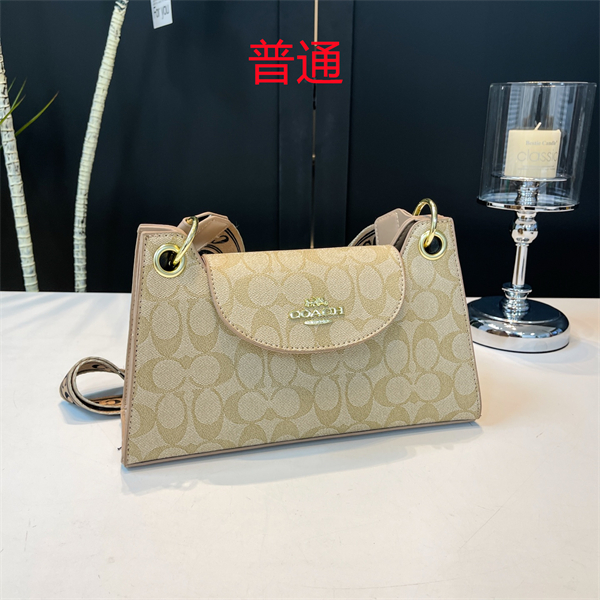 Coach small bag-0513