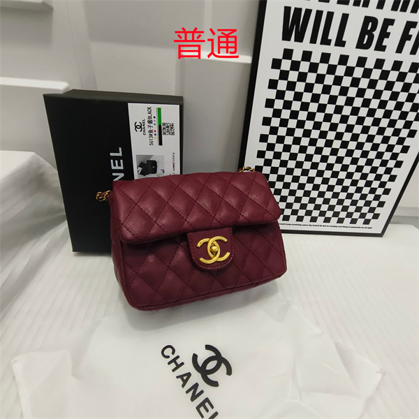 Chanel small bag-0151