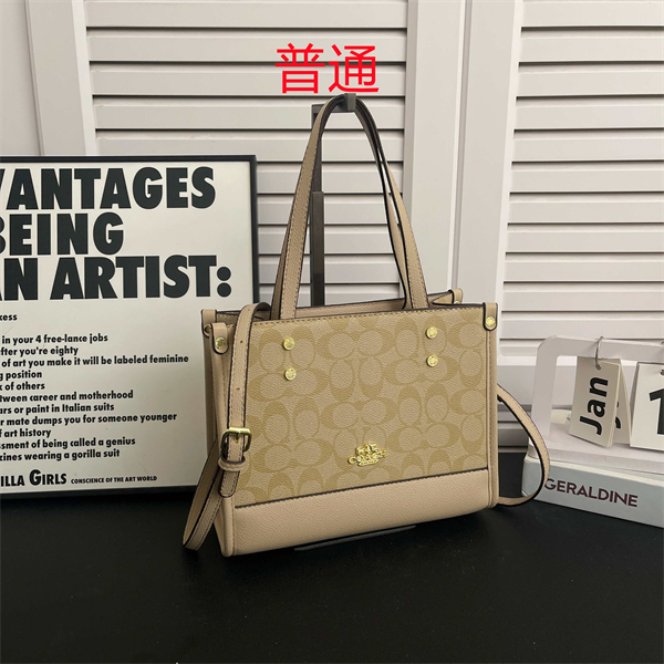 Coach small bag-0517