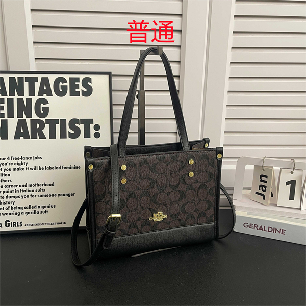 Coach small bag-0519