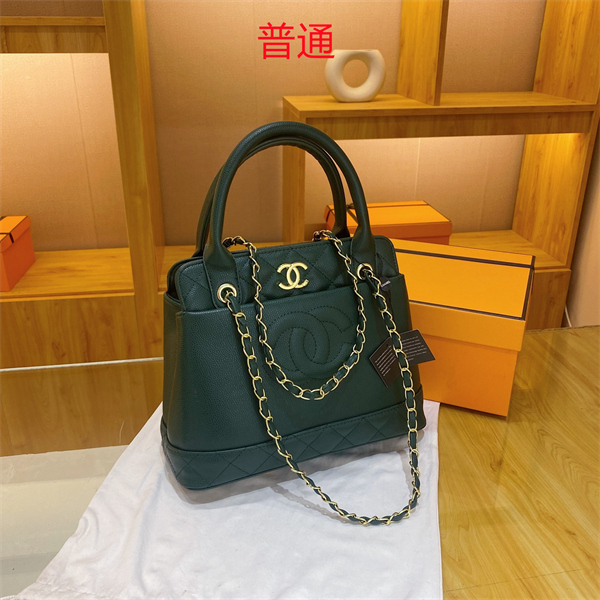 Chanel bag-0239