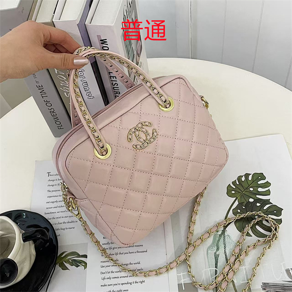Chanel small bag-0170