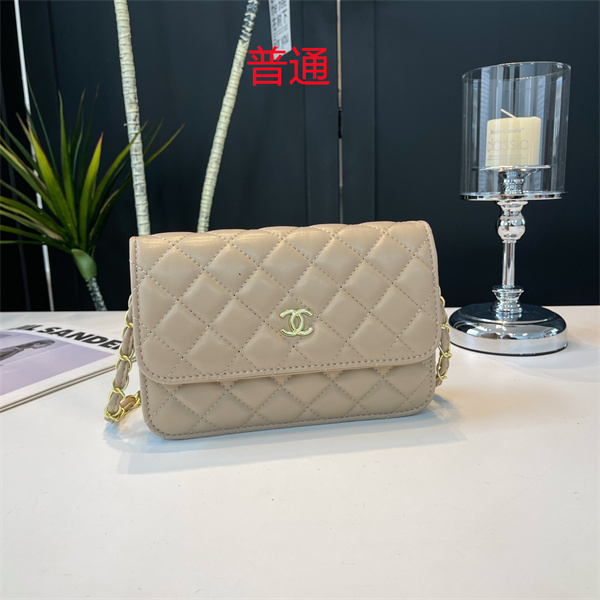 Chanel small bag-0179