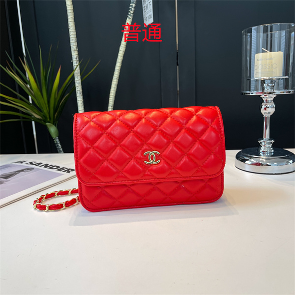 Chanel small bag-0180