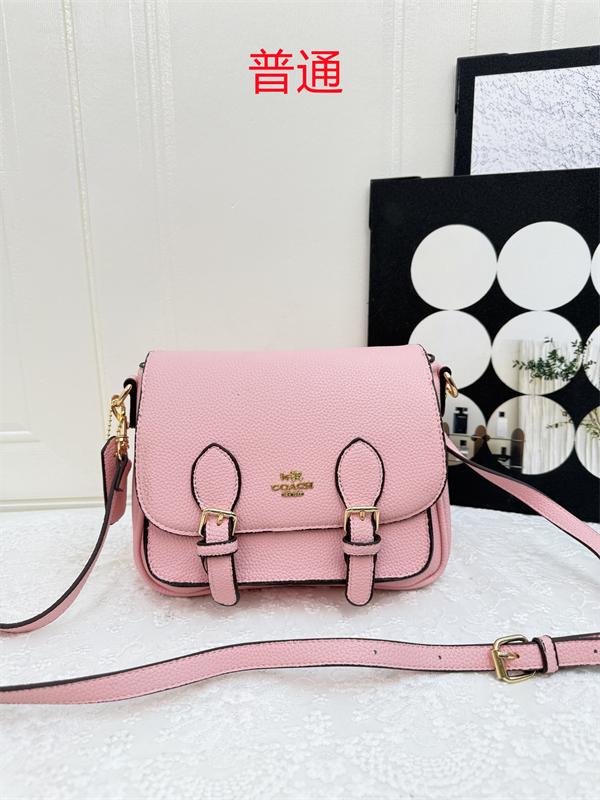 Coach small bag-0561