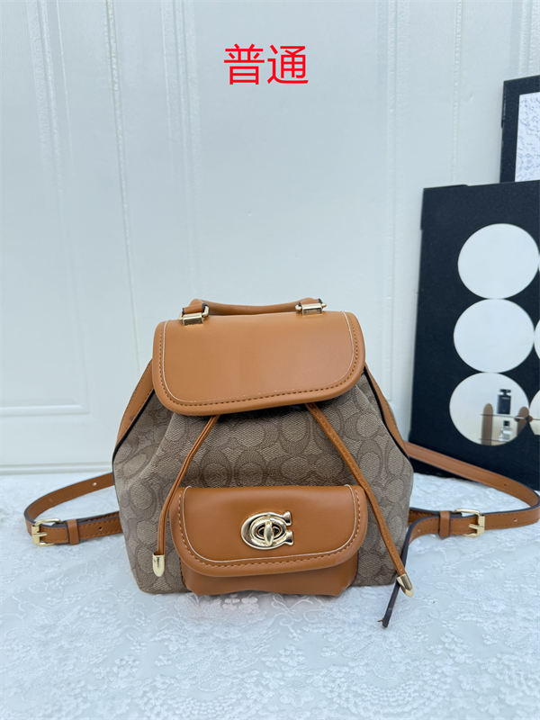 Coach small bag-0570