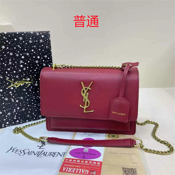 YSL small bag-0272