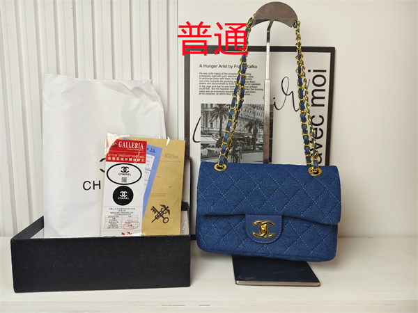 Chanel small bag-0229