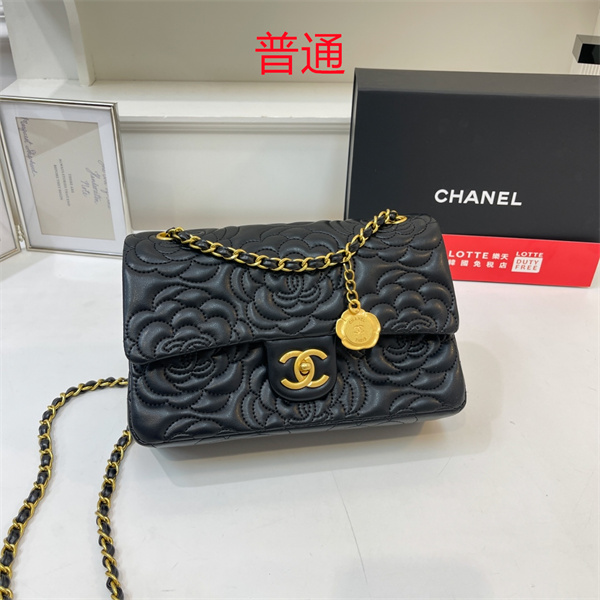 Chanel bag-0321