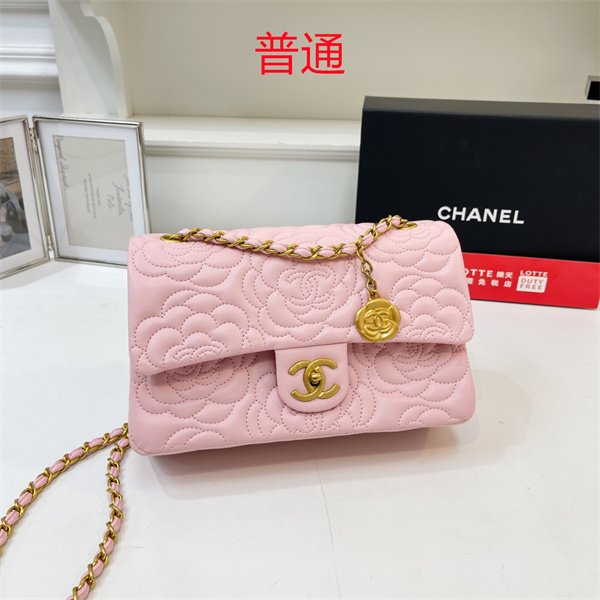 Chanel bag-0322