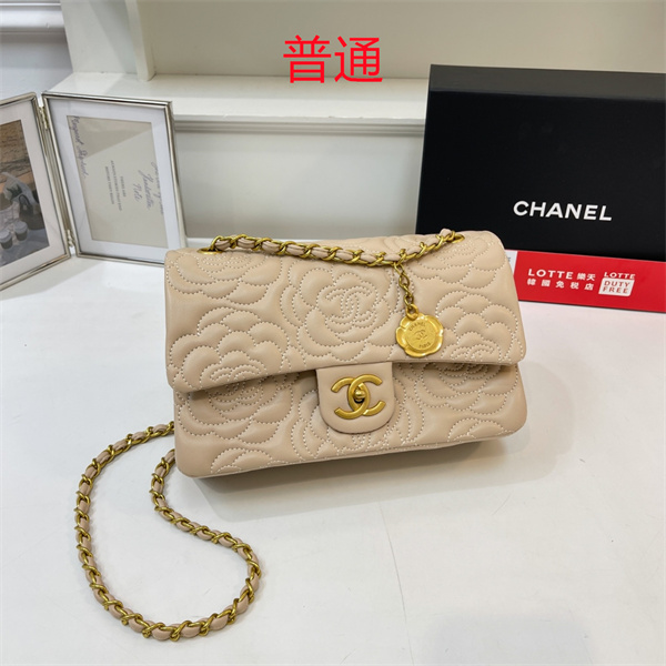 Chanel bag-0323