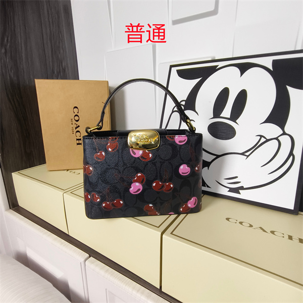 Coach small bag-0610
